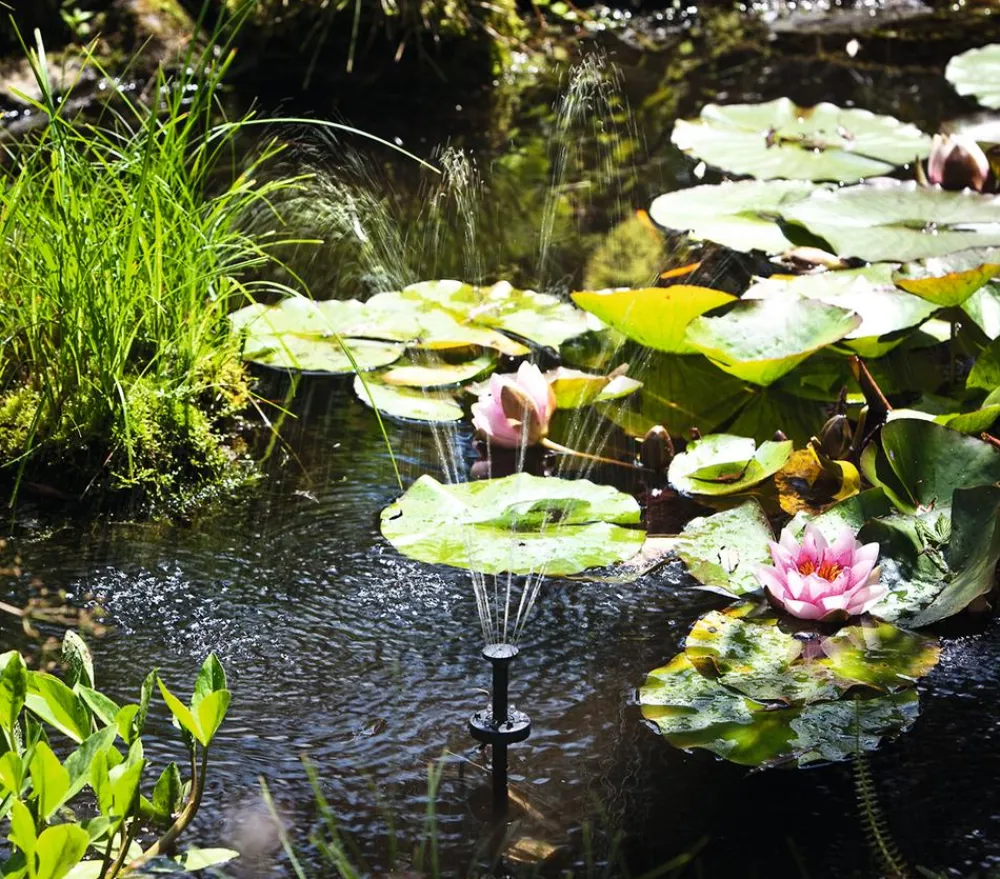 Esotec Solarpumpe Palermo LED für den Gartenteich Schwarz Sale