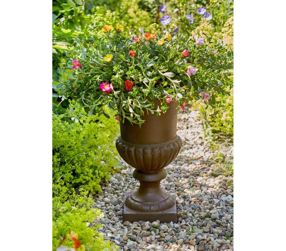 Esschert Design Französische Pflanzvase aus Gusseisen, Dunkelbraun Discount