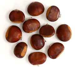 Dehner Nüsse & Besondere Obstbäume|Obstbäume > Esskastanie 'Bouche de Betizac'