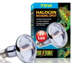 Exo Terra® Terrarientechnik > Halogen Basking Spot