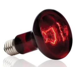 Exo Terra® Terrarientechnik - Infrared Basking Spot
