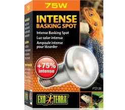 Exo Terra® Terrarientechnik > Intense Basking Spot