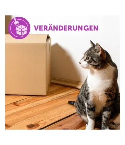 FELIWAY® Katzenpflege > Alltagshelfer Classic Start-Set