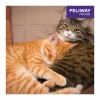 FELIWAY® Katzenpflege > Alltagshelfer Friends Nachfüllflakon