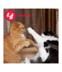 FELIWAY® Katzenpflege - Alltagshelfer Friends Start-Set