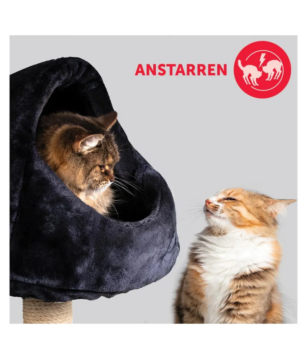 FELIWAY® Katzenpflege - Alltagshelfer Friends Start-Set