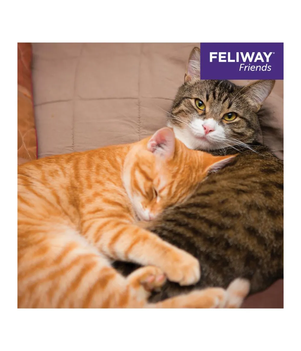 FELIWAY® Katzenpflege - Alltagshelfer Friends Start-Set