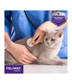 FELIWAY® Katzenpflege > Classic Nachfüllflakon, 3er-Set