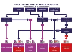 FELIWAY® Katzenpflege > Friends Nachfüllflakon, 3er-Set