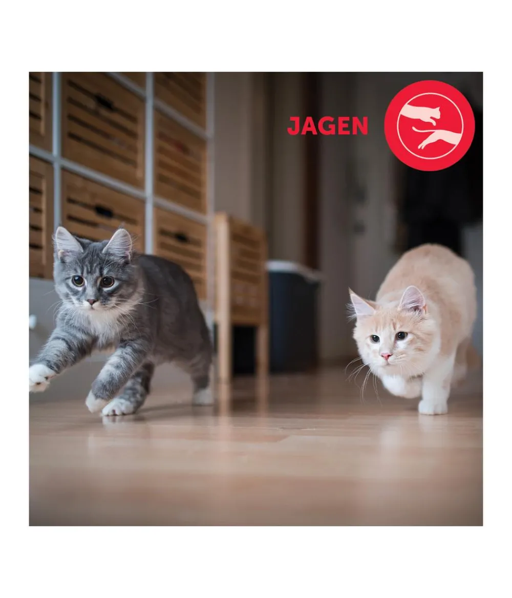 FELIWAY® Katzenpflege > Friends Nachfüllflakon, 3er-Set
