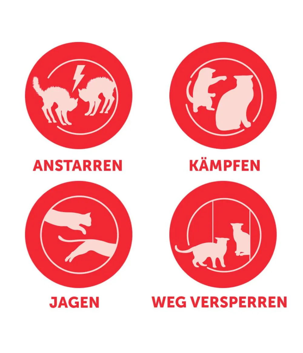 FELIWAY® Katzenpflege > Friends Nachfüllflakon, 3er-Set