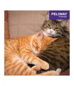 FELIWAY® Katzenpflege > Friends Nachfüllflakon, 3er-Set