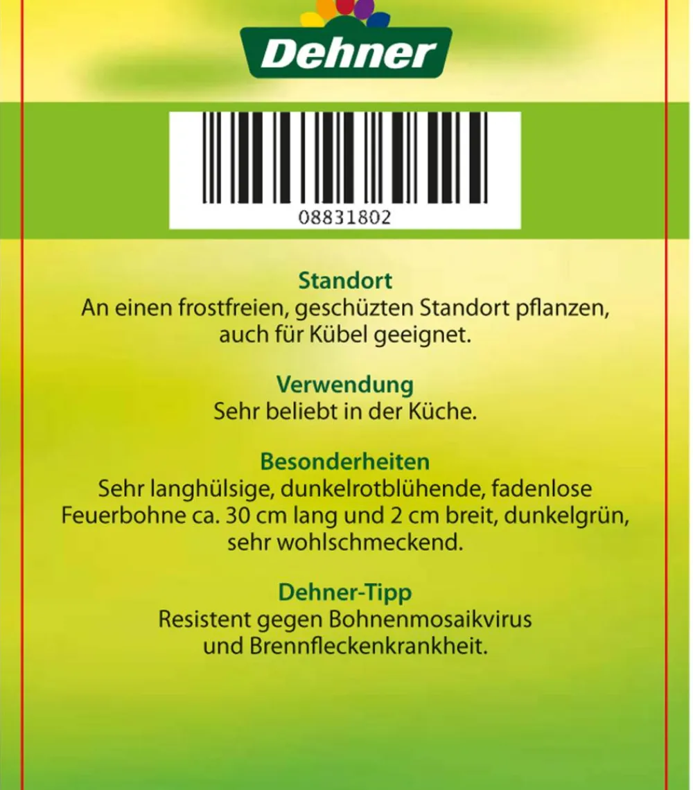 Dehner Gartengemüse > Feuerbohne