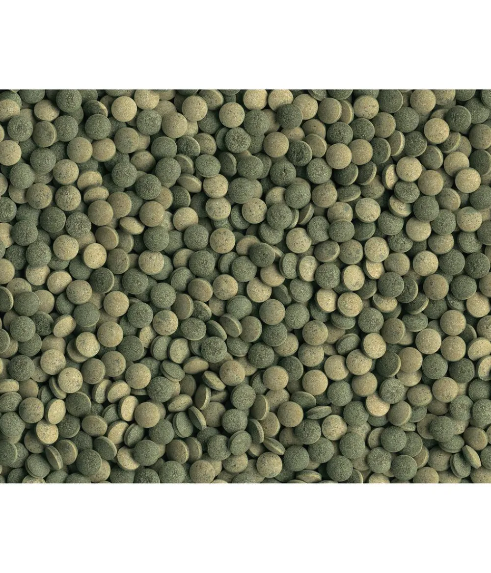 Tetra Fischfutter > Fischfutter Pleco Tablets