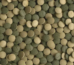 Tetra Fischfutter - Fischfutter Pleco Tablets