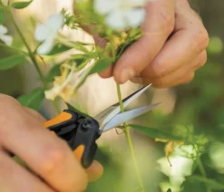 Fiskars Heckenschere & Gartenschere - Gartenschere Micro-Tip SP13