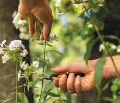 Fiskars Heckenschere & Gartenschere - Gartenschere Micro-Tip SP13