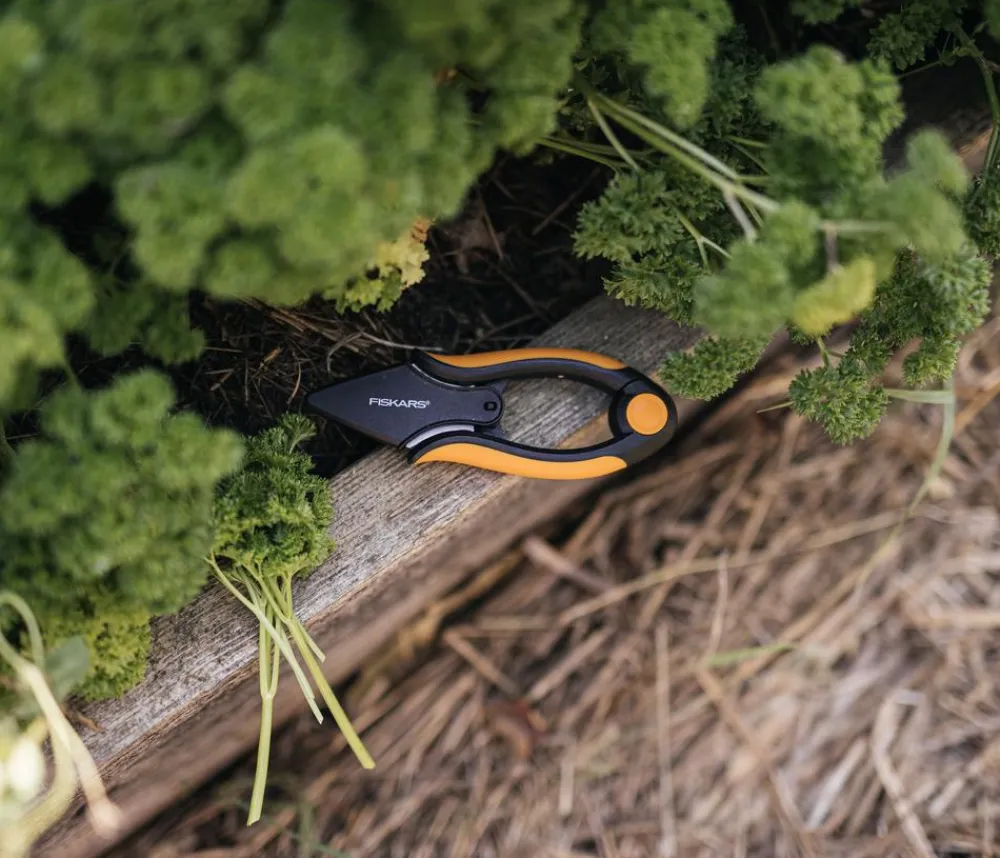 Fiskars Kräuterschere Solid SP220 Sale