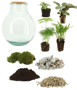 Dehner Flaschengarten DIY-Set Tropisches Paradies, 9-teilig, ca. Ø40/H29 cm Grün Sale