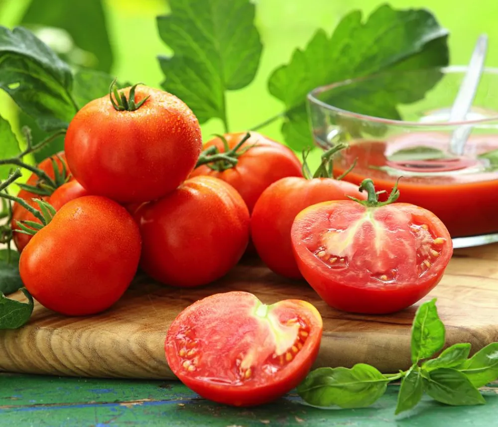 Dehner Auberginen- & Tomatenpflanzen - Fleischtomate, Rot