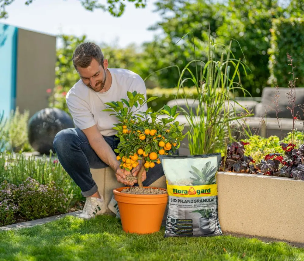Floragard Spezialerde > Bio Pflanzgranulat