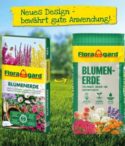 Floragard Blumenerde, 3 x 10 l Online