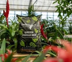 Floragard Green Jungle Mix Discount