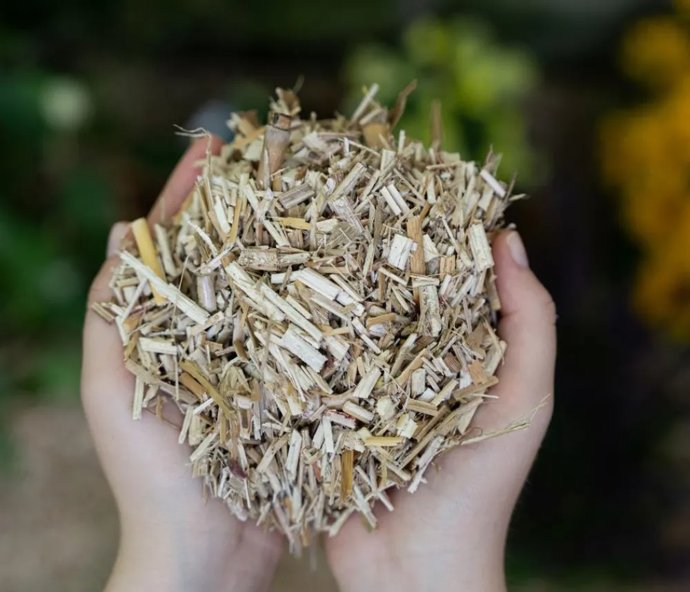 Floragard Spezialerde - Miscanthus Mulch, 125 l