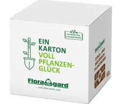 Floragard Spezialerde - Zitrus- und Mediterranpflanzenerde