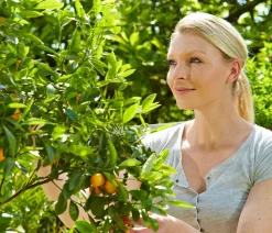 Floragard Spezialerde - Zitrus- und Mediterranpflanzenerde