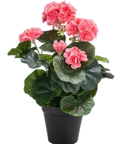 Flower Manufaktur Kunstpflanze Geranie, ca. H33 cm Apricot Clearance