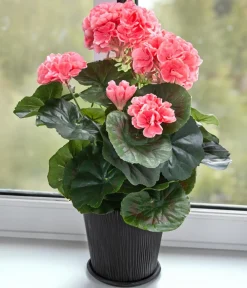 Flower Manufaktur Kunstpflanze Geranie, ca. H33 cm Apricot Clearance