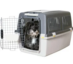 Trixie Hundetransportboxen > Friends on Tour Transportbox Gulliver Gr. 4