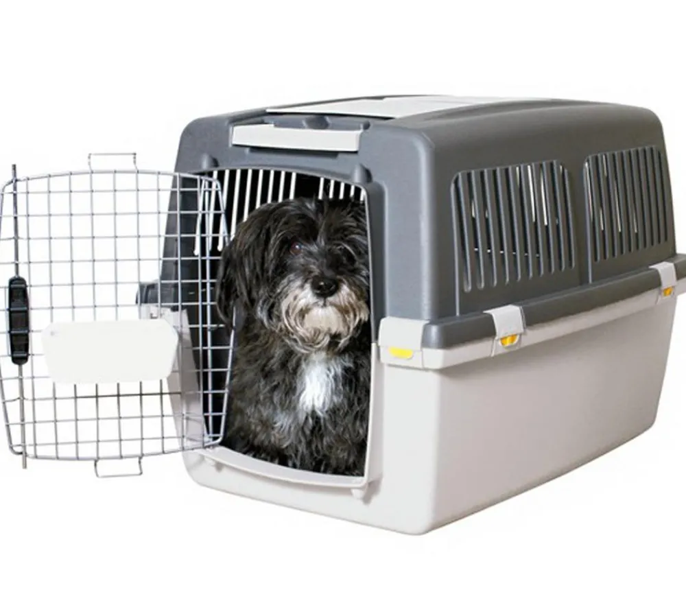 Trixie Hundetransportboxen > Friends on Tour Transportbox Gulliver Gr. 4