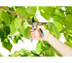 Gardena Alu-Gartenschere B/L² New