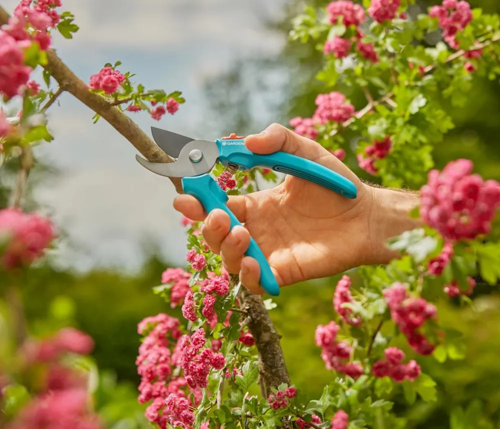 Gardena Heckenschere & Gartenschere - Gartenschere EasyCut Tray Türkis