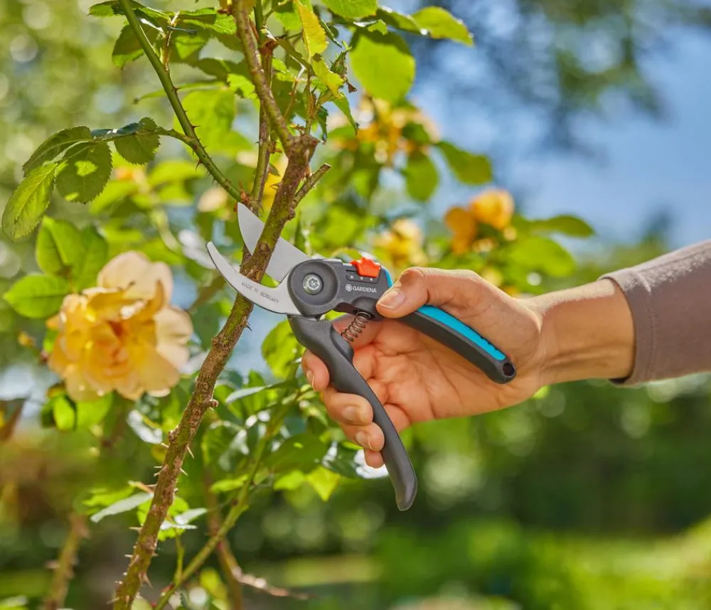 Gardena Heckenschere & Gartenschere - Gartenschere PremiumCut Flex