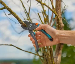 Gardena Heckenschere & Gartenschere - Gartenschere PremiumCut Pro Trockenes Holz