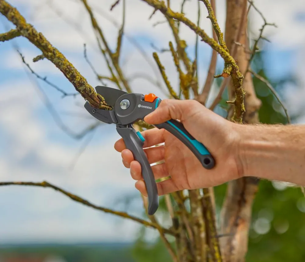 Gardena Heckenschere & Gartenschere - Gartenschere PremiumCut Pro Trockenes Holz