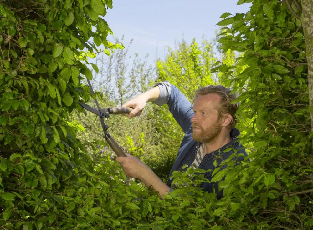 Gardena Heckenschere & Gartenschere - Heckenschere NatureCut
