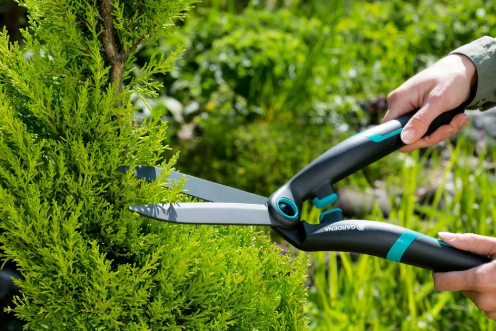 Gardena Heckenschere PrecisionCut Clearance
