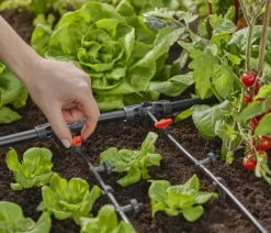 Gardena Bewässerungssysteme & Pumpen - Micro-Drip-System Reduzierer, 1/2