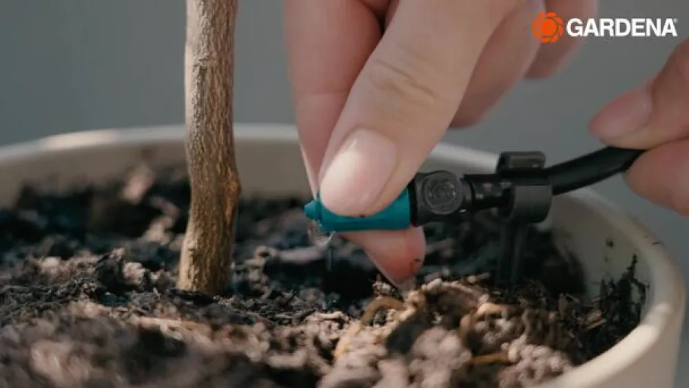 Gardena Bewässerungssysteme & Pumpen > Micro-Drip-System regulierbarer Endtropfer, 10 Stk.