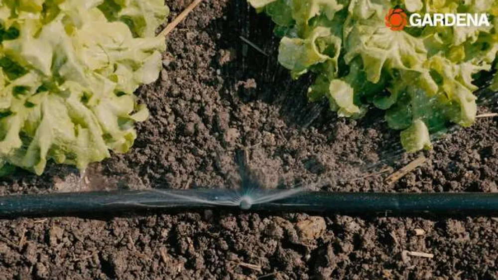 Gardena Micro-Drip-System Sprühdüse 180 Grad, 5 Stk. Hot