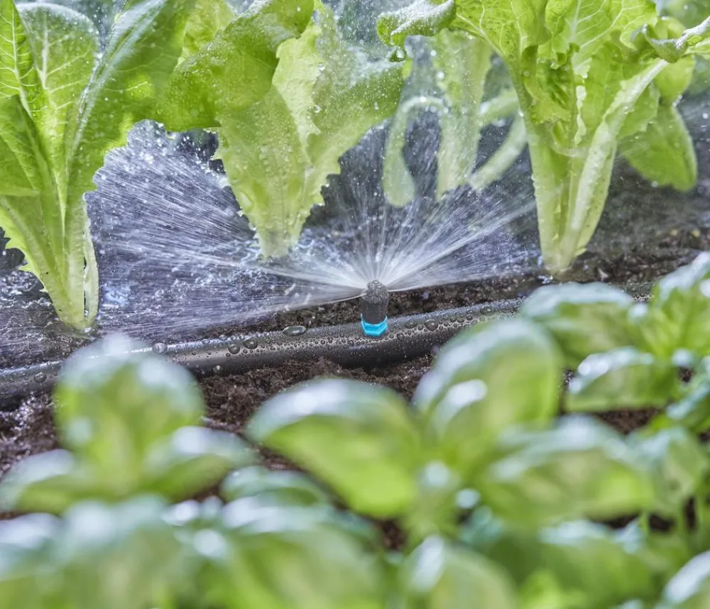 Gardena Micro-Drip-System Sprühdüse 180 Grad, 5 Stk. Hot