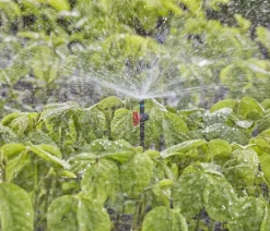 Gardena Bewässerungssysteme & Pumpen - Micro-Drip-System Sprühdüse 360 Grad, 5 Stk.