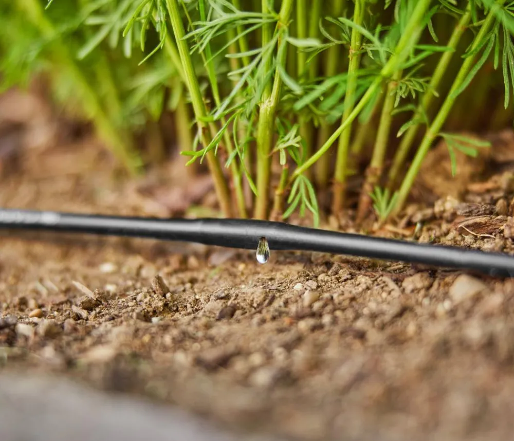 Gardena Gartenschläuche & Zubehör > Micro-Drip-System Tropfrohr oberirdisch, 3/16", 1,5 l/h, 15 m