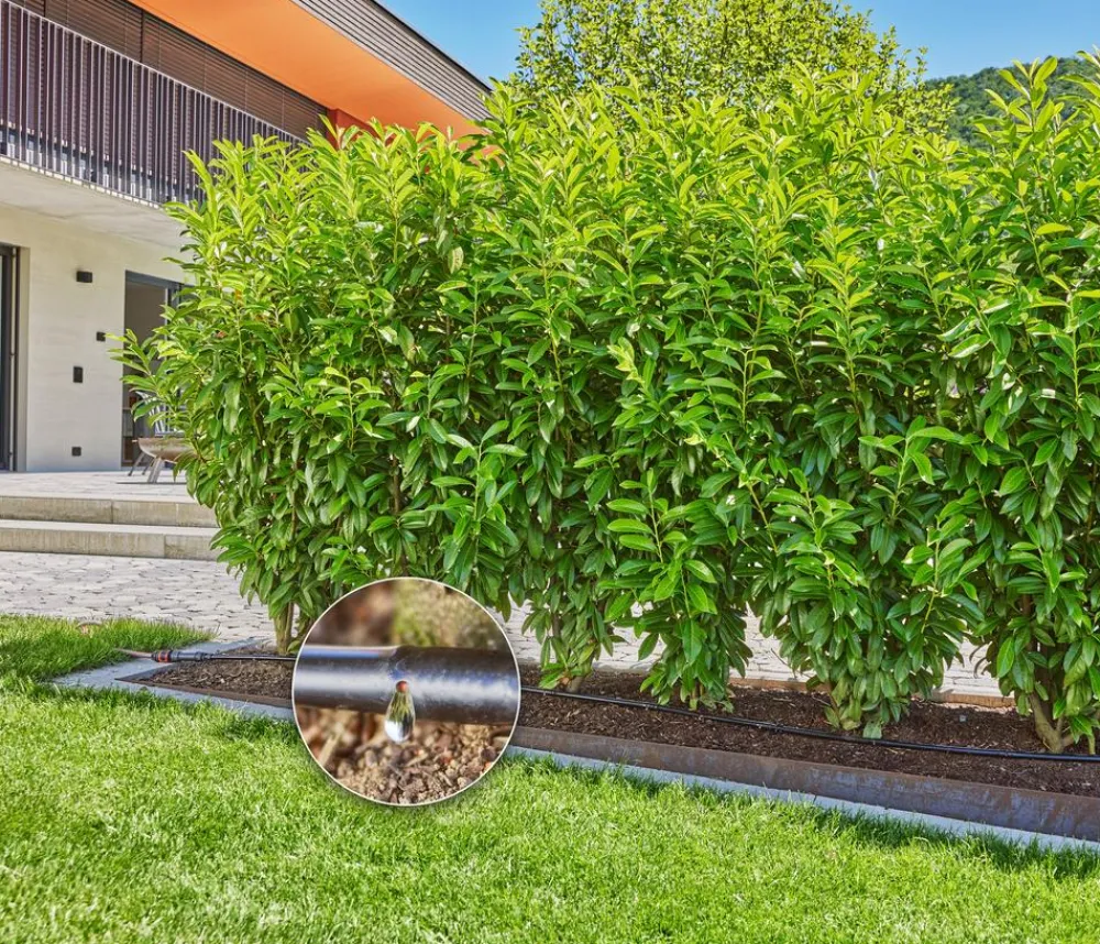 Gardena Bewässerungssysteme & Pumpen - Micro-Drip-System Tropfbewässerung-Set für Hecken & Büsche