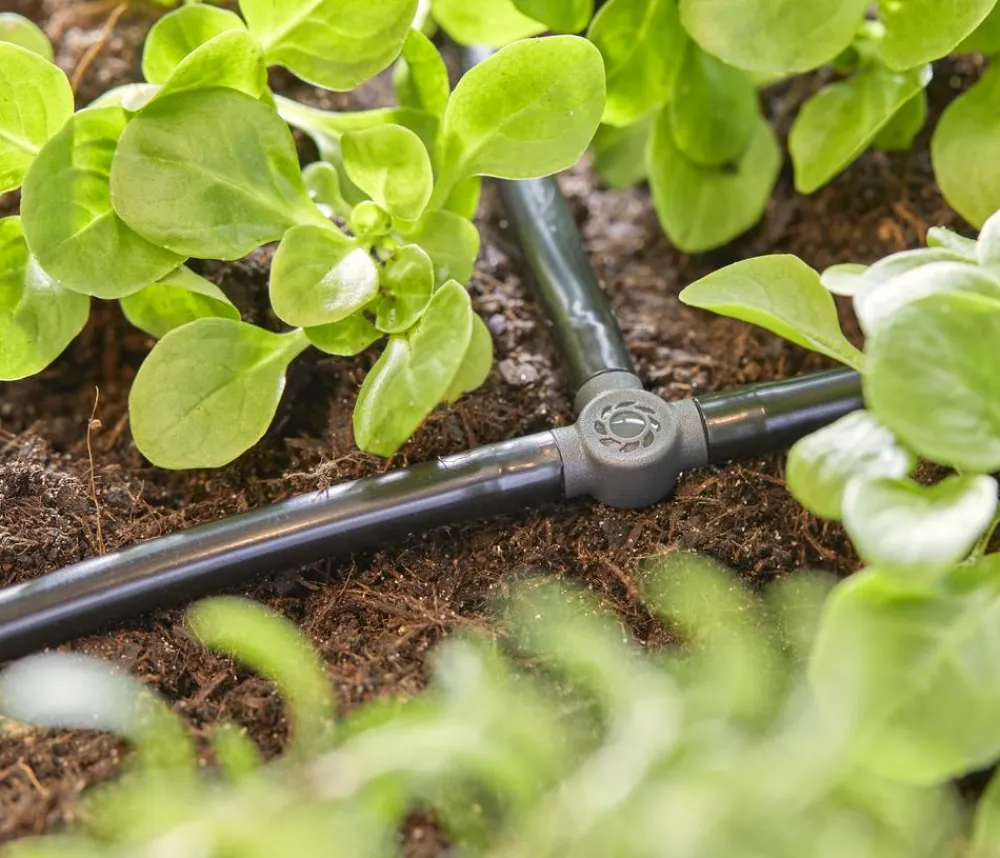 Gardena Bewässerungssysteme & Pumpen > Micro-Drip-System T-Stück, 3/6", 10 Stk.