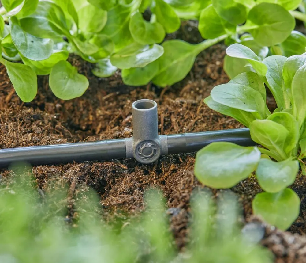 Gardena Bewässerungssysteme & Pumpen > Micro-Drip-System T-Stück für Sprühdüsen, 3/6", 5 Stk.